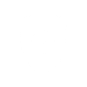 icon-Security